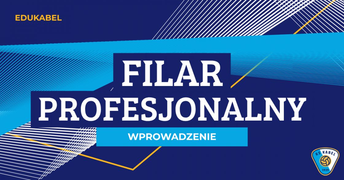 Co to znaczy być profesjonalistą?