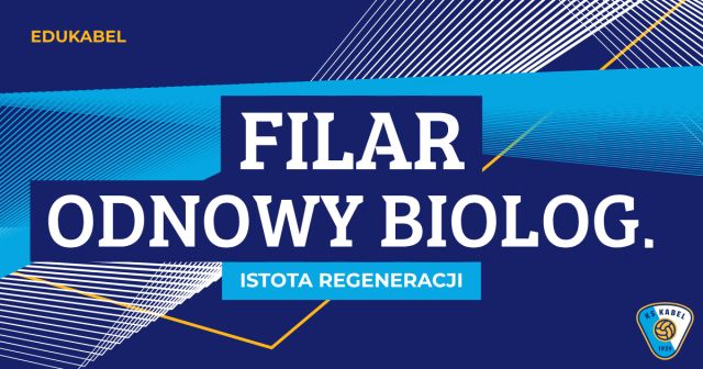 Regeneracja młodego piłkarza: jak odpoczynek i energia decydują o rozwoju