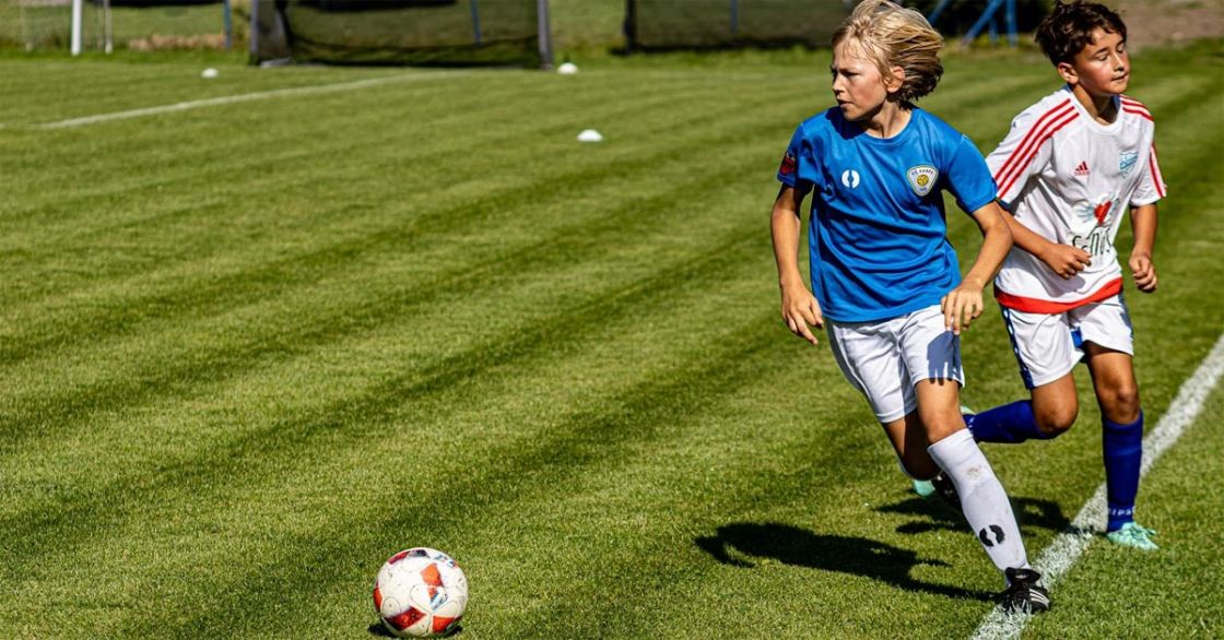 Udana wyprawa do Zalasu